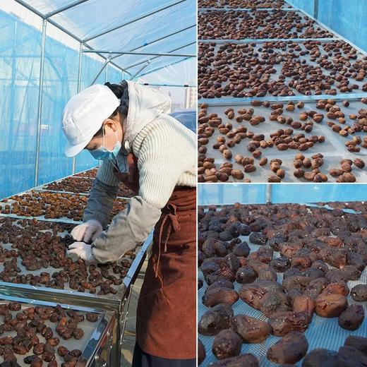 古法蒸晒养出好气色💥【三蒸三晒黄芪枣】💗气色好，睡的香😲比普通枣子更易消化❗️ 商品图3