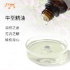 牛至精油 奥地利精油原料批发 芳疗护理香氛调香香薰 大篷车精油 商品缩略图1