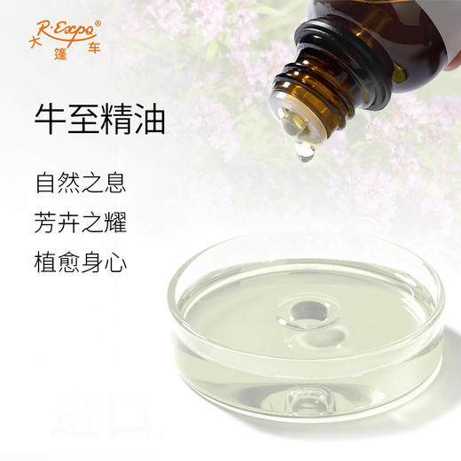牛至精油 奥地利精油原料批发 芳疗护理香氛调香香薰 大篷车精油 商品图1