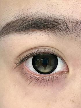 circlecon半年抛美瞳 森雾橄榄 14.5mm