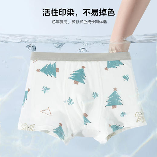 贝贝怡男童儿童内裤（4件装）ZB5EP019 商品图6