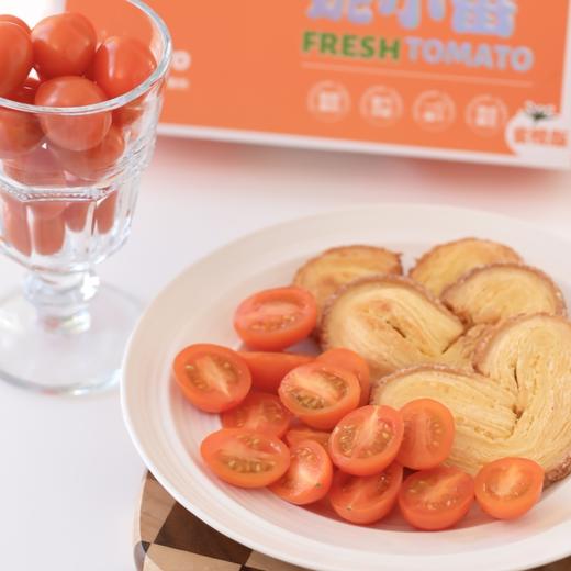 多彩小番茄#蜜橙小番茄，突破技术，皮薄肉脆，清爽带有淡淡的芒果香，热量贼低，好吃也不怕胖 商品图0