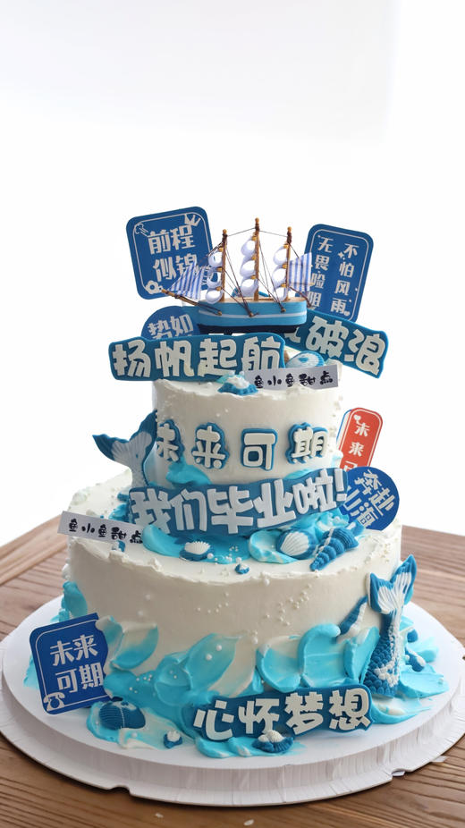 扬帆起航 未来可期（图为10+6双层，需要同款拍10+6） 商品图0