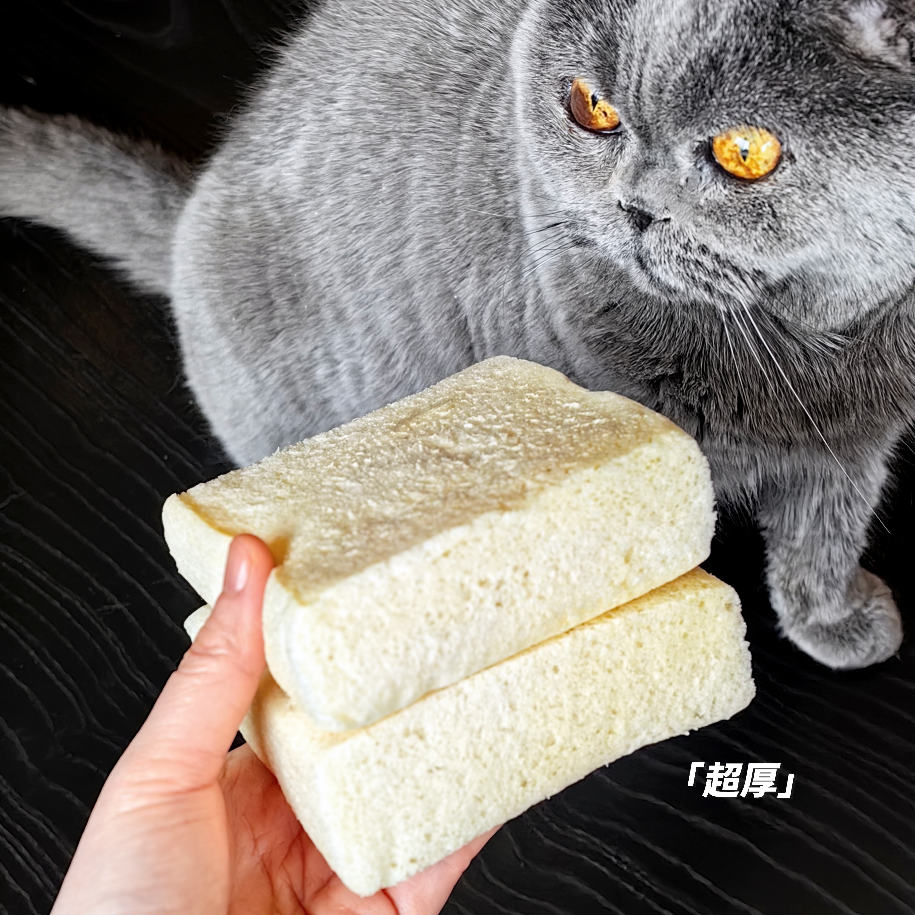 [屁侠推荐]江小燕巴氏鲜乳云朵吐司 450g/盒（6包） 面包早餐