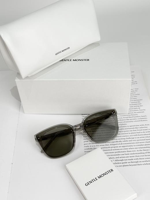 QT74-GENTLE MONSTER 镜腿微标 醋酯纤维 方形 太阳眼镜 （QT*JH）夏季专享 商品图2