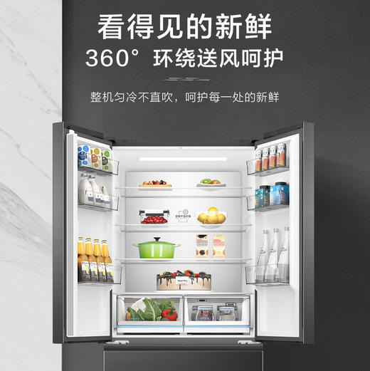 海尔（Haier）冰箱 BCD-509WGHFD7DS9U1 商品图9