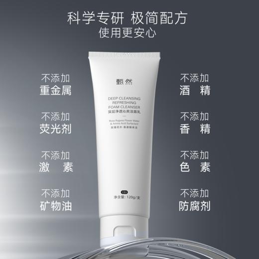 sy 甄然深层净透沁爽洁面乳120g*1支，送同款洁面乳120g*1支 商品图4