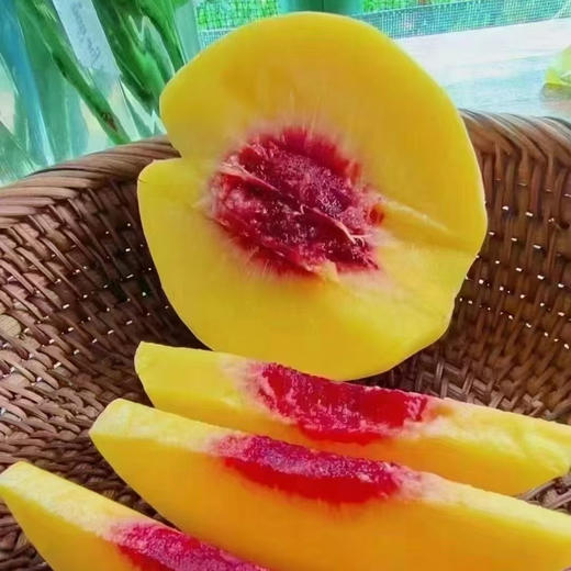 云阳锦绣黄桃，家乡好桃！带箱6斤/10斤装，普通地区顺丰包邮！ 商品图2