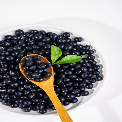 MM 山姆 伊藤园 黑豆茶（植物饮料）500ml*24 商品图6