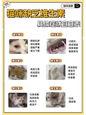 猫咪缺乏维生素的表现！！