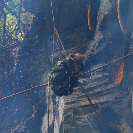 云南景东土蜂百花蜜石崖子岩蜜食用农产品山林野生蜂蜜天然健康香甜营养 商品图9