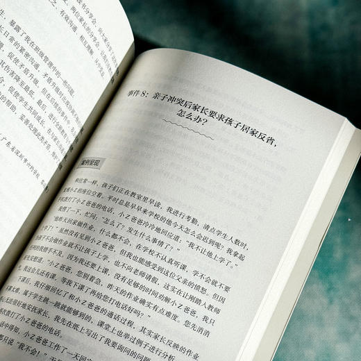 智慧教师的修炼之道 成为积极的问题解决者 大夏书系 教师专业发展 商品图12