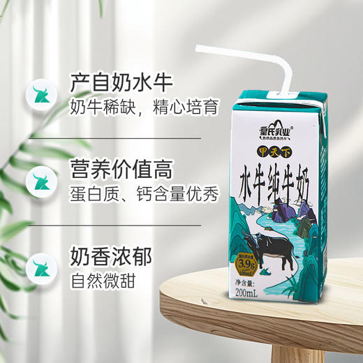 【3件装组合特惠】甲天下水牛纯牛奶200ml*10盒+摩拉菲尔醇养酸奶205g*12盒+神气水牛高钙奶200ml*15盒 商品图4
