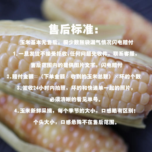 滇本味小糯仔西双版纳香糯小玉米4斤礼盒装 商品图6