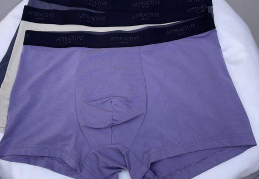 迪兰多莫代尔棉四角内裤亲肤舒适22805811 商品图1