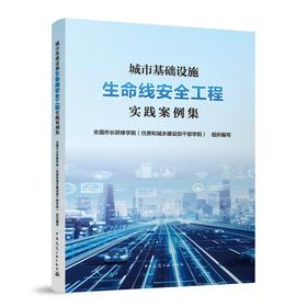 城市基础设施生命线安全工程实践案例集