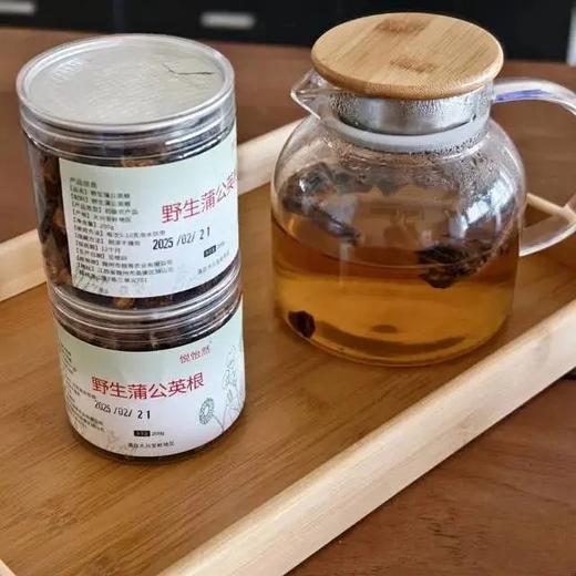 大兴安岭野生蒲公英根野生采集自然晾晒，精选壮龄根经久耐泡清香馥郁配料表干净通过102项SGS农残检测基地直邮 商品图2