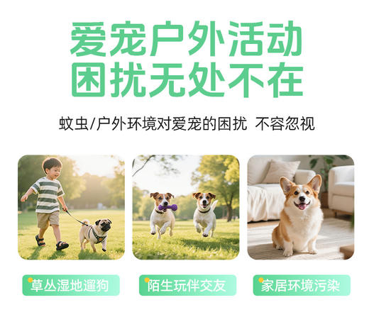 宠安仕宠物防护喷雾300ml夏季防蚊虫 户外遛狗喷雾 植物配方 不刺激 可人宠同用 整箱=54瓶【全渠道可售】 商品图2