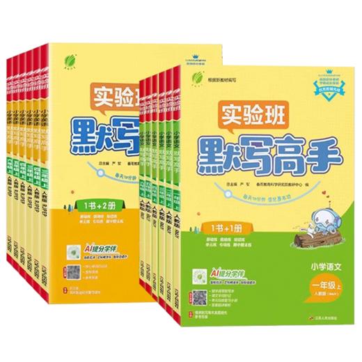 2025实验班小学语文默写高手一二三四五六上册语文人教版小学生教材同步练习专项训练天天练 商品图4