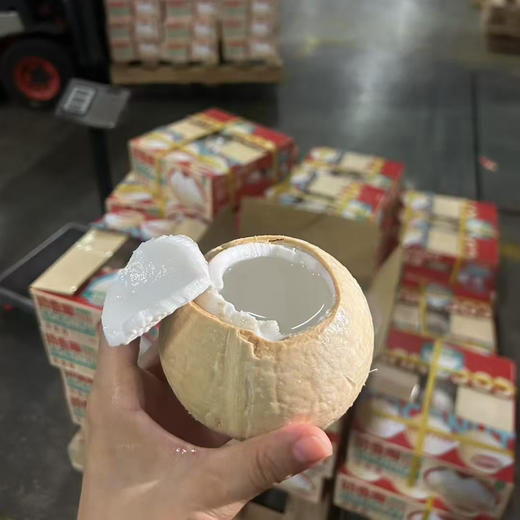 【泰国椰皇】又名奶椰，醇香奶味，100％纯天然，低糖低卡路里，清润补水，富含维生素矿物质，味道超赞,送吸管 商品图7