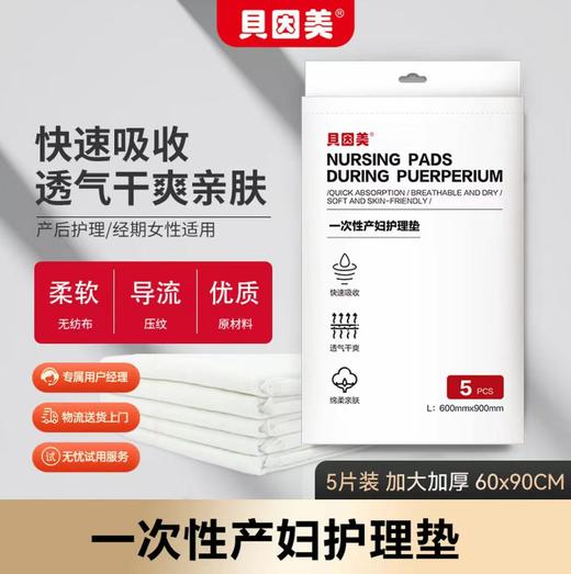 贝因美孕妈待产包（内含产妇卫生纸*1包，一次性马桶垫*1包，一次性内裤*1包） 商品图2