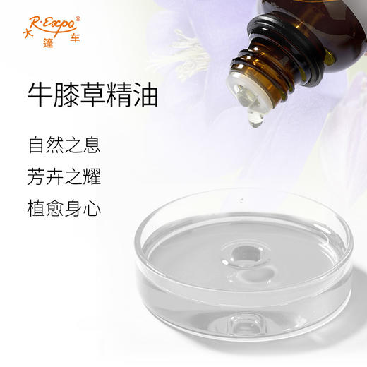 牛膝草精油/海索草 奥地利精油原料批发芳疗香氛调香香薰大篷车精油 商品图1