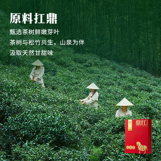 八马茶业 | 鼎红1000 武夷红茶正山小种礼盒152g 商品图3