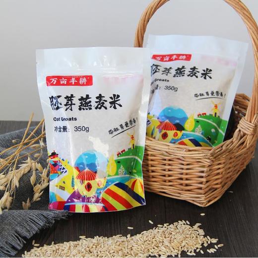 【云惜严选】胚芽燕麦米 营养早餐 粗粮代餐健康谷物 商品图0