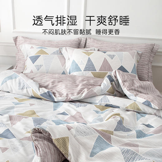 2025年新款雅芳婷摩登丝天丝五件套简约风莫代尔床笠被套丝滑套件 商品图3