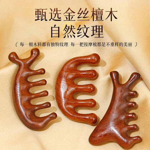 <有书独家>【养生有道❗金丝檀按摩梳礼盒】「一梳多用」享受专业级别SPA，刮按不伤肤/圆润大梳齿/按摩很舒服， 金丝檀木头皮经络梳子头疗按摩梳L 商品图2