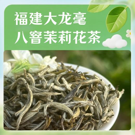 【分销】八窨茉莉花茶  福鼎大毫春芽  鲜灵透骨，冷香持久！茶引花香，甘爽回甜！ 商品图2