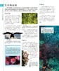 《DK博物大百科》（修订版） 商品缩略图6