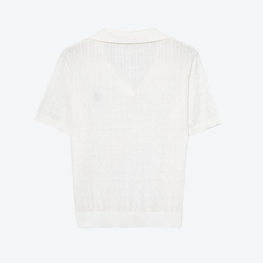 【商场同款】【萌宠系列】诗凡黎刺绣Polo针织短袖25夏新款休闲上衣3G46319013G4631901 商品图1