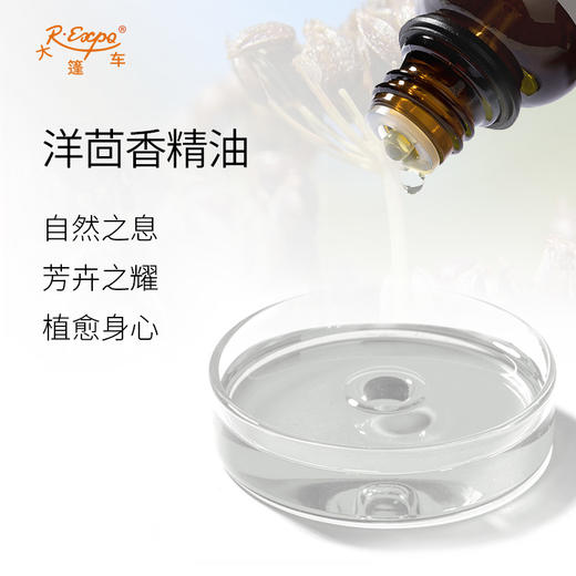 洋茴香精油/大茴香 印度单方精油原料批发芳疗护理调香 大篷车精油 商品图1