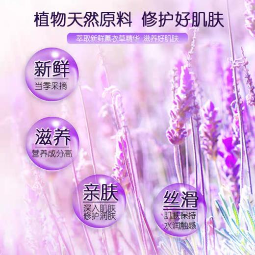 澳雪薰衣草花香美肌沐浴露 商品图1