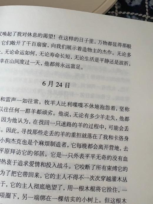 【帆布袋+飞机盒+刷边版】夏日走过山间 双封硬壳精装 约翰·缪尔著 带你用一本书的时间 完成从城市到山野的灵魂出走 商品图5