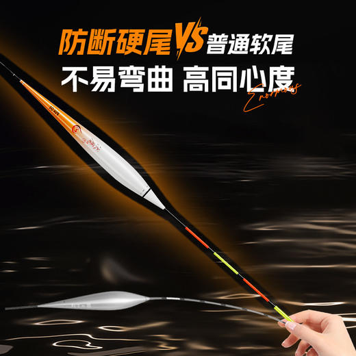 佳钓尼鲢鳙夜光漂咬钩变色电子漂日夜两用高灵敏醒目加粗钓鱼装备 商品图3