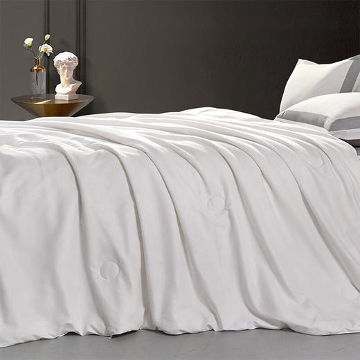 富安娜 柔润纯棉抗菌蚕丝被203*229cm(800g) 商品图2