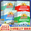 【秒杀】阳光同学课时优化作业 2023春 语文数学英语 下册 商品缩略图0