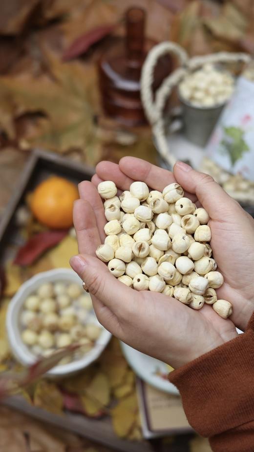 【2025新四批】富桂圆满.好运莲莲【桂圆肉|莲子】高州桂圆肉/白莲子，精选优质新鲜高州石硖龙眼 商品图2