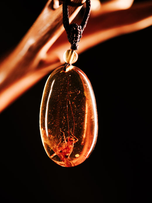 虫珀蟋蟀高货 【器悟雅玩】 商品图0