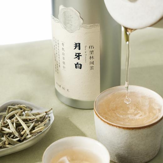 赏丨2024年月牙白 有机白茶 特级 60g（银色罐装/补充装） 商品图9