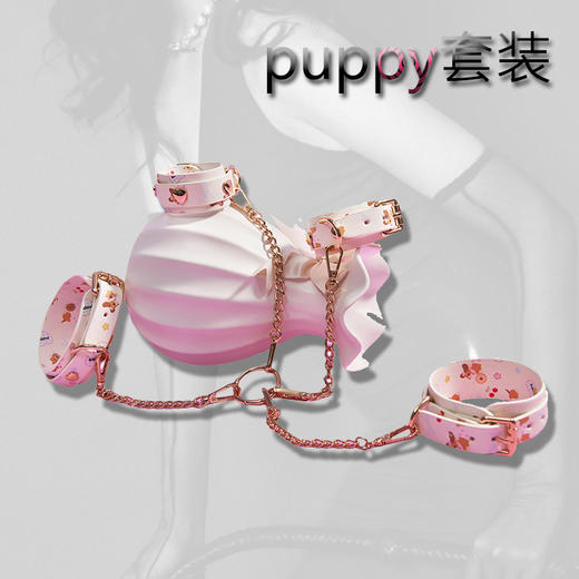 魅灵温变 puppy套装 手环+脚环+拍子+眼罩+项圈 商品图3