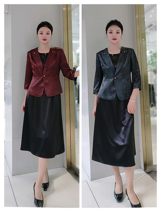 54N261时尚气质两件套款套裙 商品图1