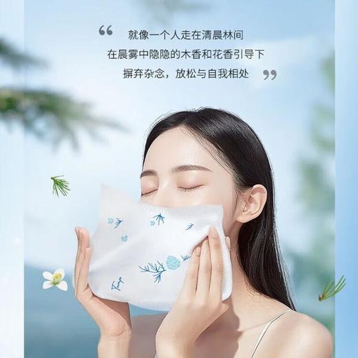得宝雪松味印花迷你手帕纸12包 商品图1