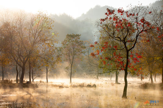 秋色·鄂皖豫大别山深度9 天：鸡公山、新县古村、马鬃岭、罗田圣人堂、水上红叶 商品图2