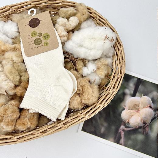 有机棉系列  基础袜 商品图4