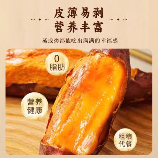 六鳌蜜薯 地标产品 香甜软糯 无筋无丝 3斤装  A-5014 商品图4