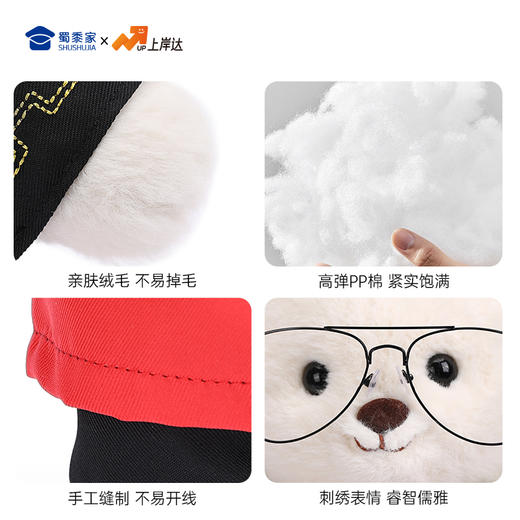 【导师毕业熊】可定制创意毛绒公仔玩具 礼盒装小熊玩偶送礼摆件 商品图5