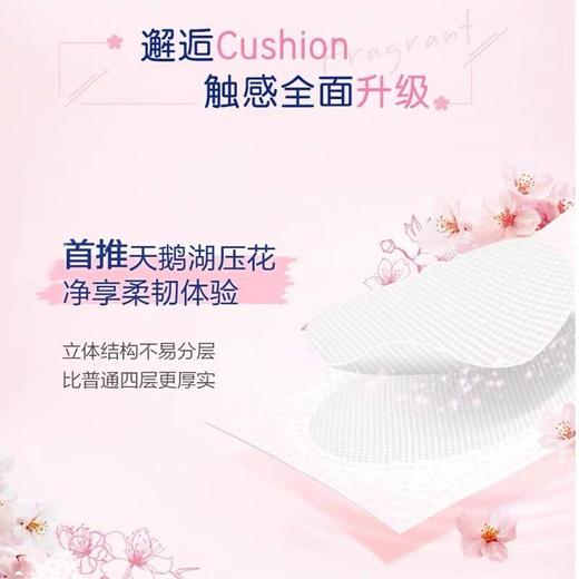 得宝（TEMPO）卷纸樱花味 卫生纸 纸巾 有芯卷筒纸4层加厚 160g*10卷/提 商品图2